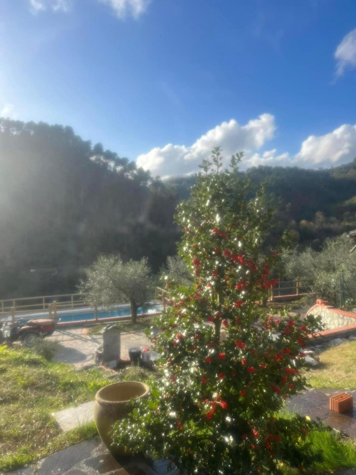 Podere Il Glicine Wellness Charme & Relax Fresonara  ภายนอก รูปภาพ
